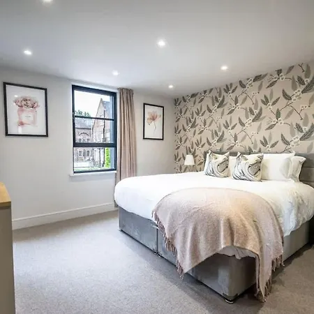 The Quadrant - The King *