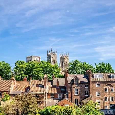 The Quadrant - The King